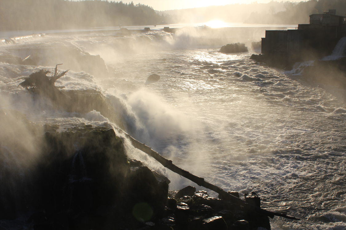 photo of Willamette Falls