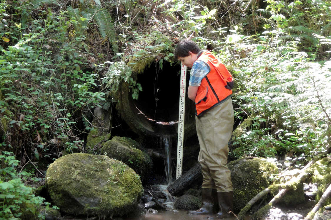 photo of Johnson Creek fish passage restoration project