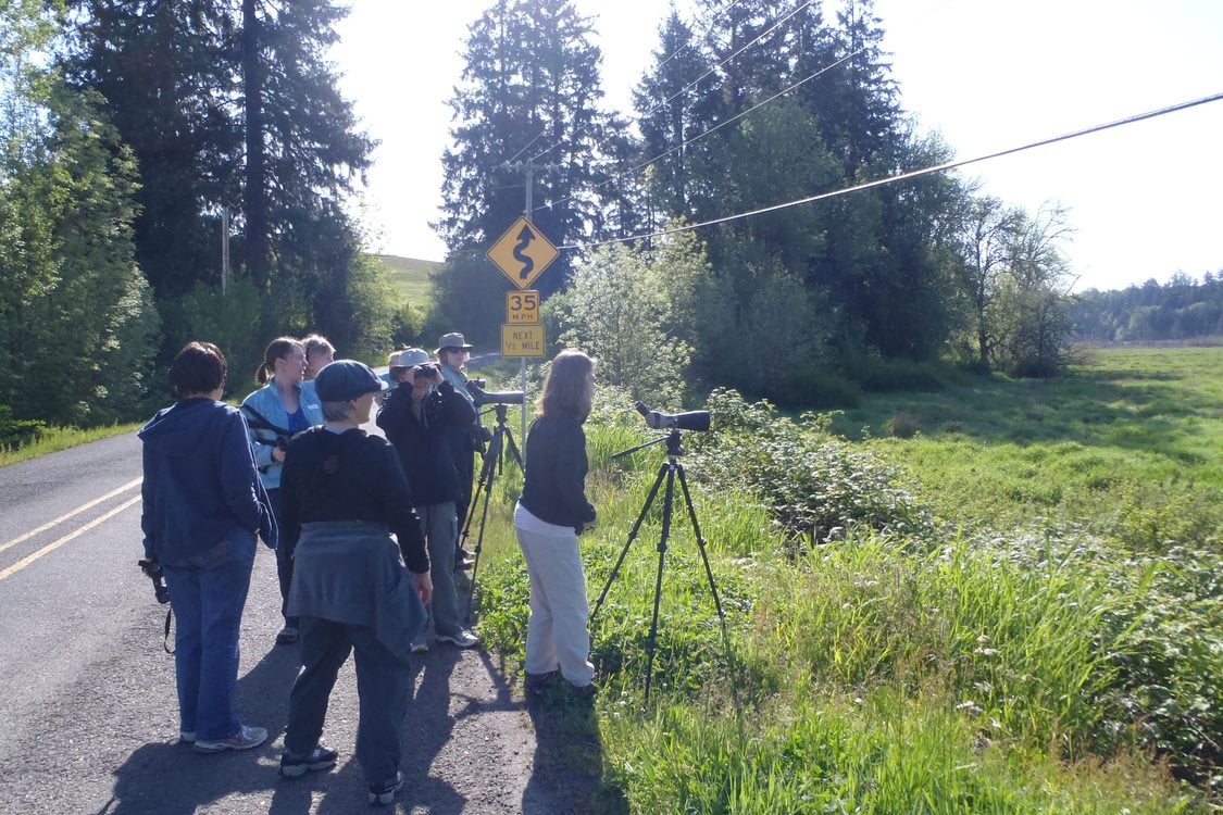 photo of Killin Wetlands