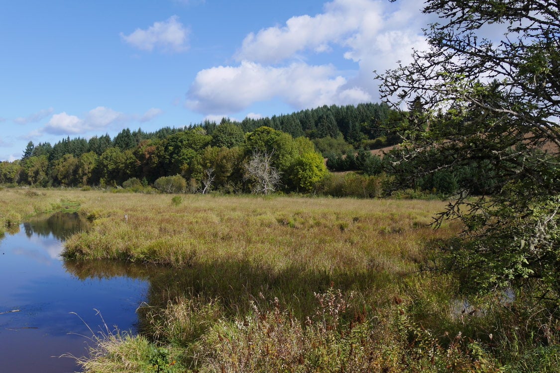 photo of Killin Wetlands