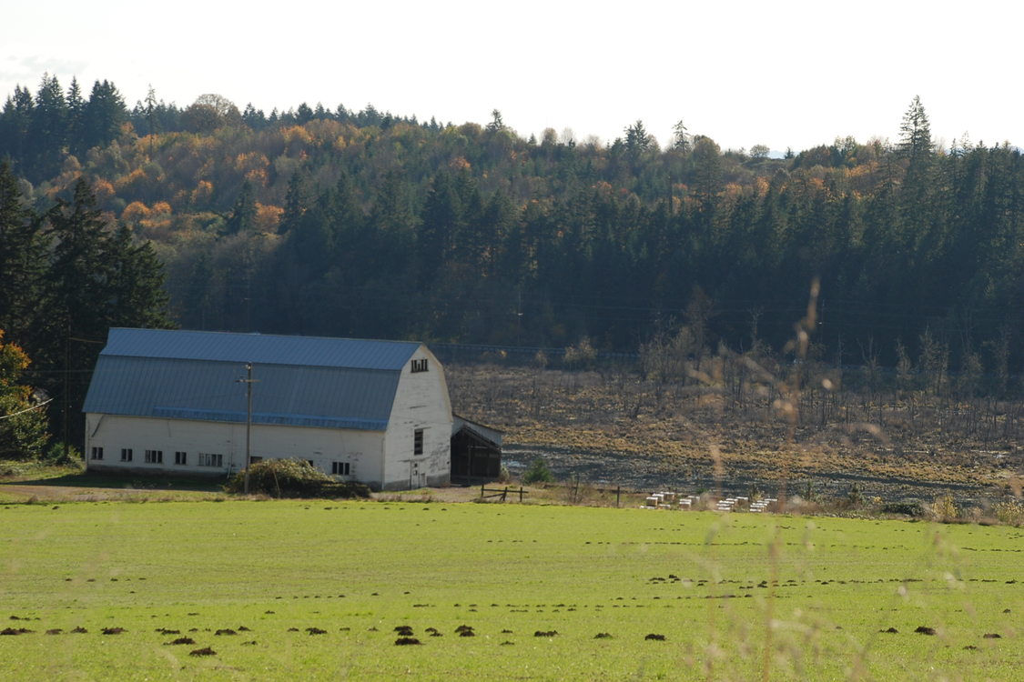 photo of Killin Wetlands