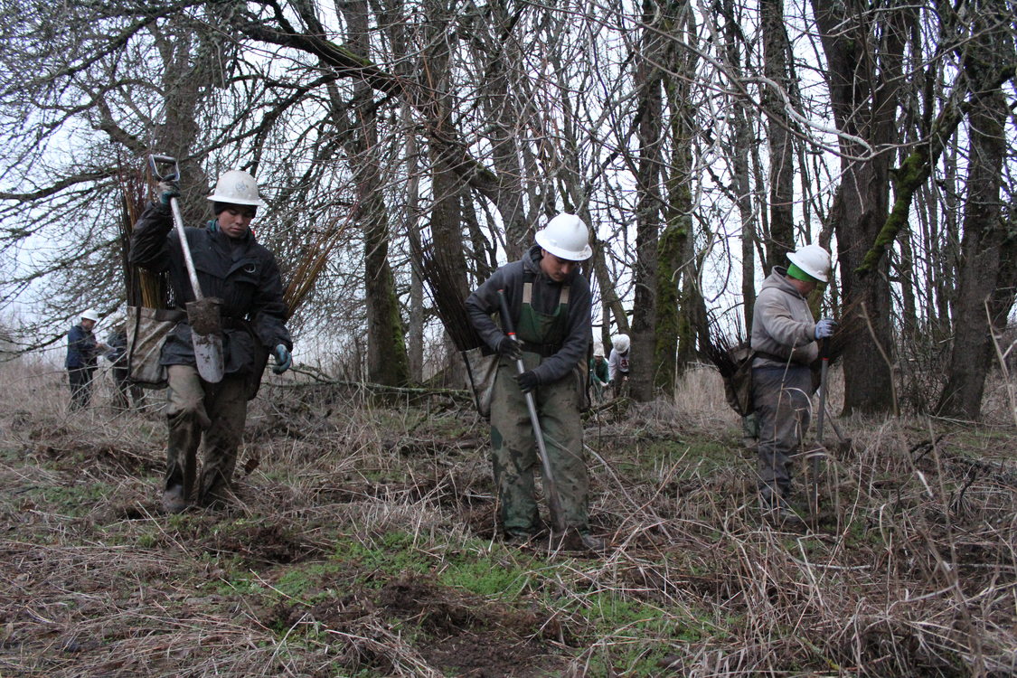 photo of planting crew at Smith and Bybee Wetlands