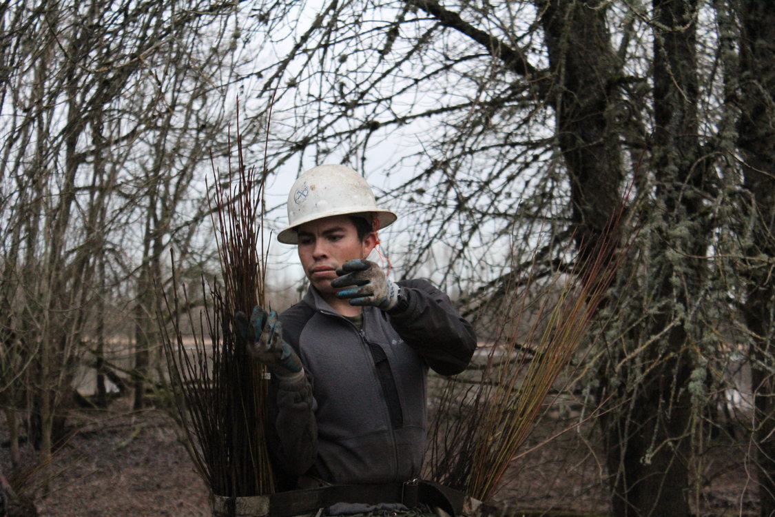 photo of planting crew at Smith and Bybee Wetlands