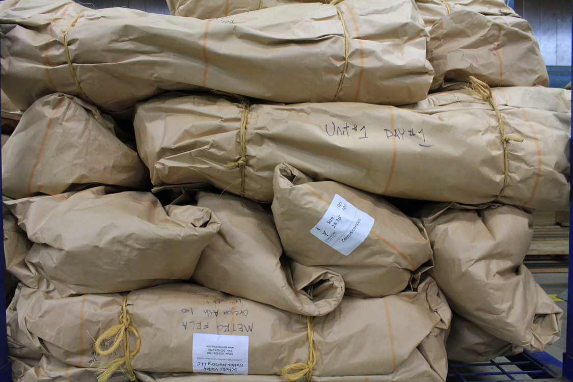 photo of bags of plants in the cooler