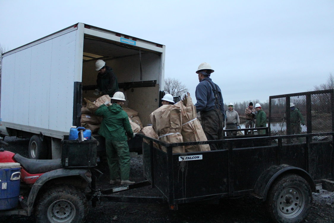 photo of plants being transferred from truck to ATV trailer