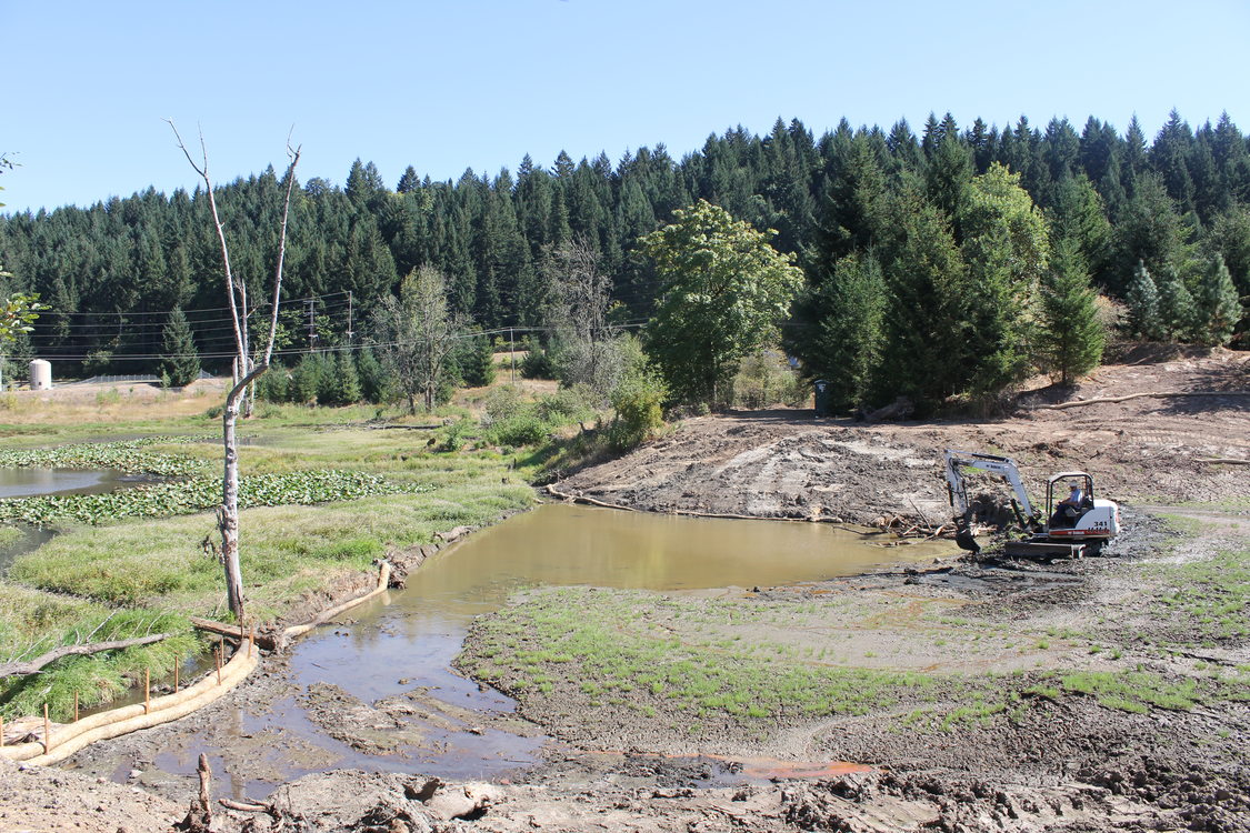 photo of Maroon Ponds restoration work