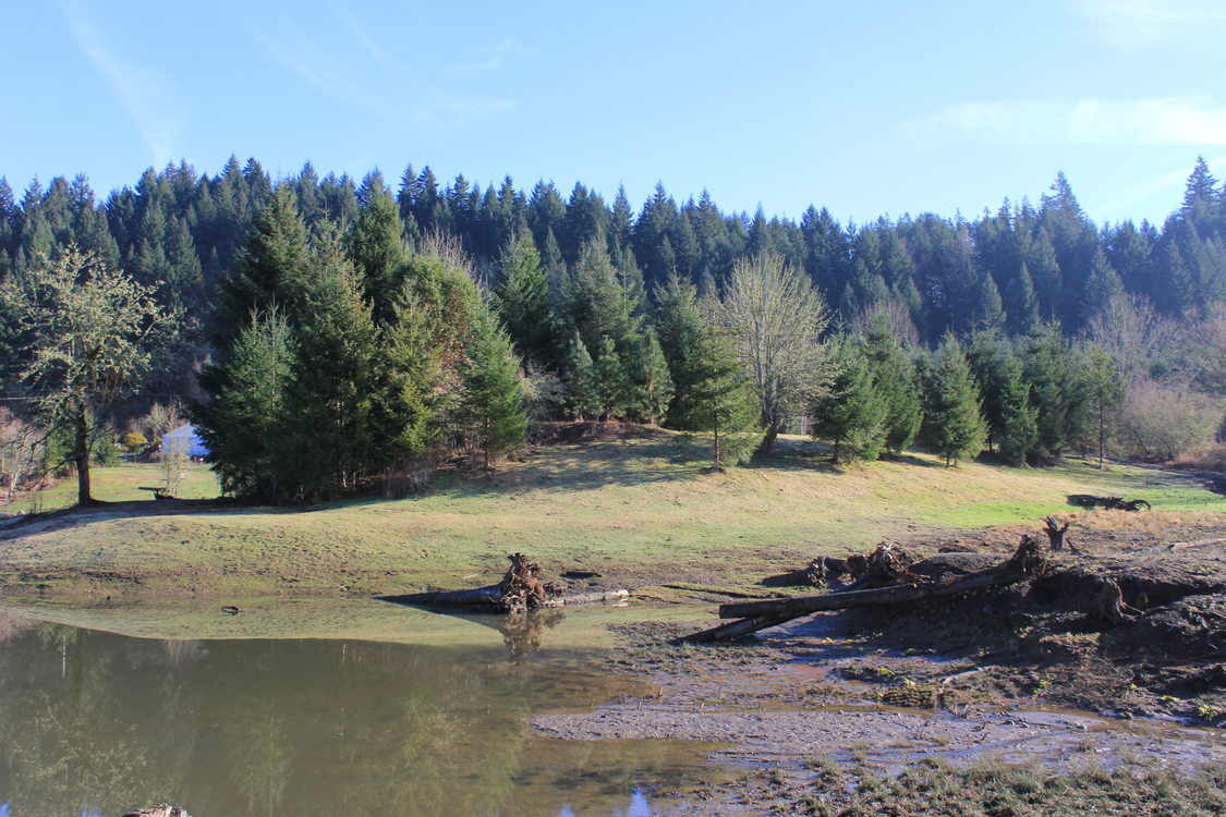 photo of Maroon Ponds after restoration work