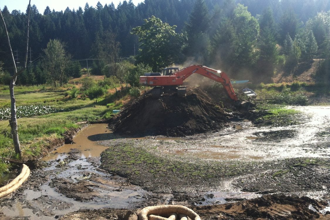 photo of Maroon Ponds restoration work