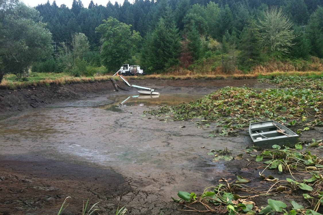 photo of Maroon Ponds restoration work