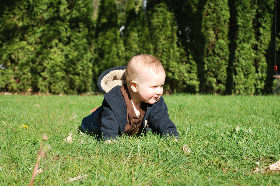 photo of baby Luca in the grass