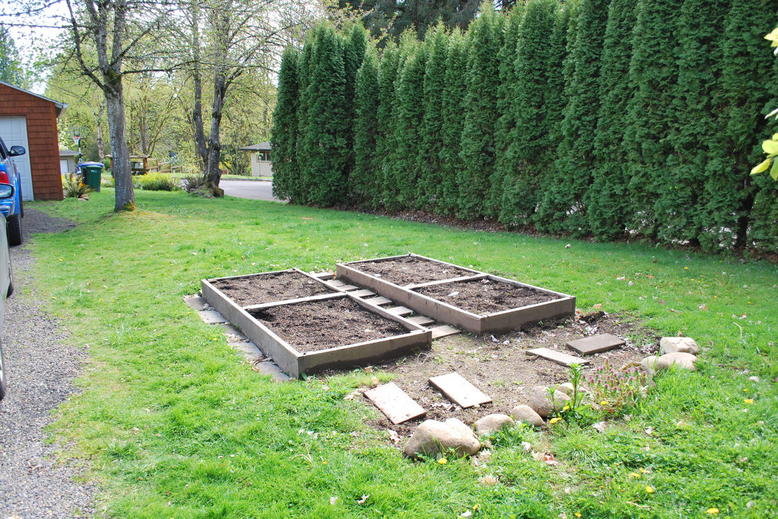photo of raised garden beds