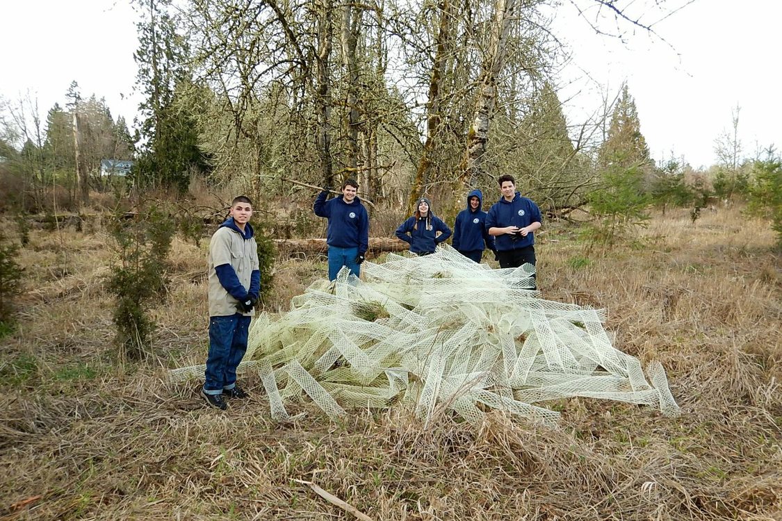 photo of YEC youth restoration at Beaver Creek