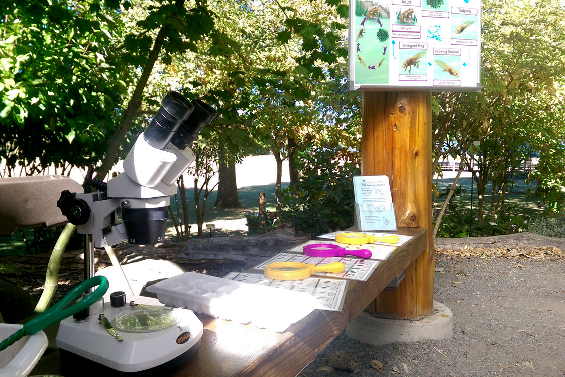 Family gardening at the Blue Lake Regional Park Discovery Garden