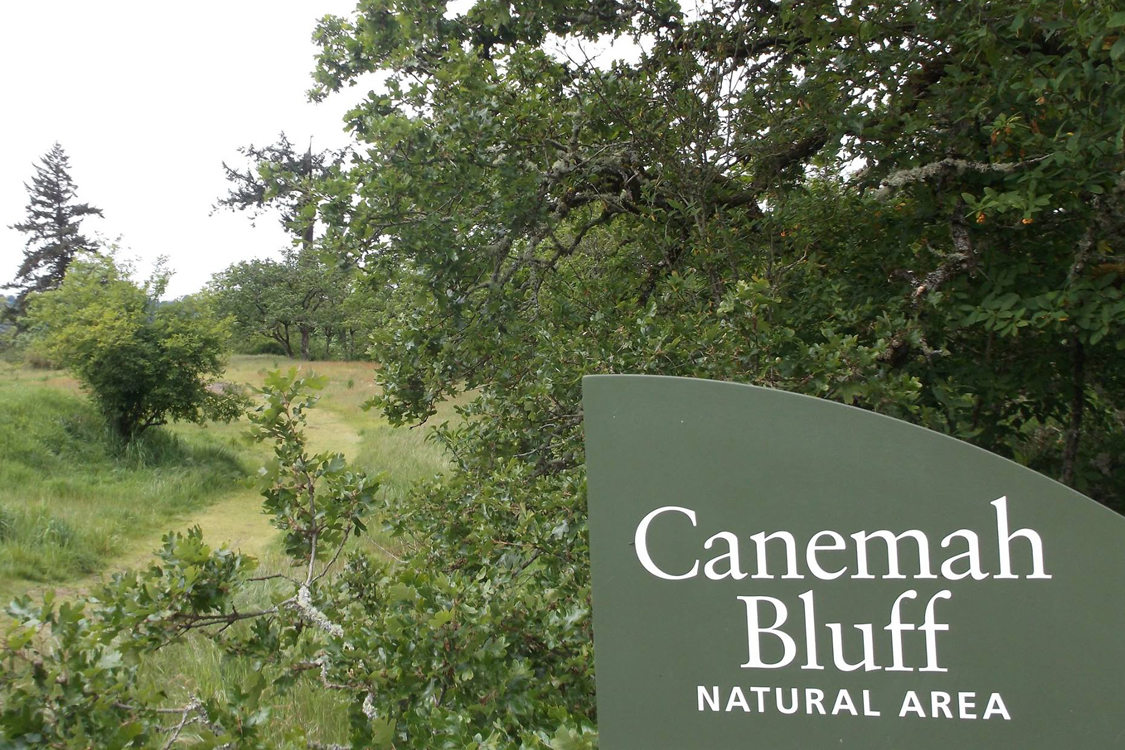 Canemah Bluff Natural Area. Photography by Carye Bye.
