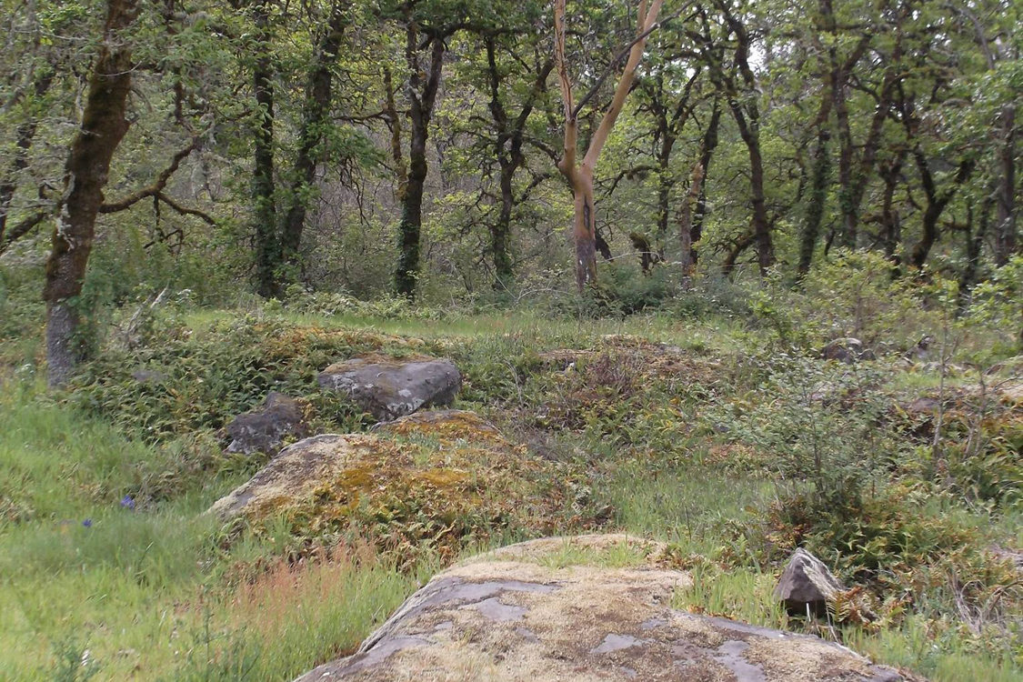 Canemah Bluff Natural Area. Photography by Carye Bye.