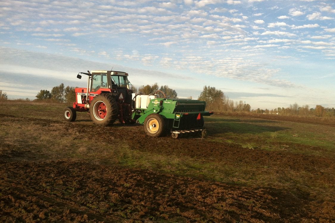 photo of seeding of St. Johns Prairie in November 2014