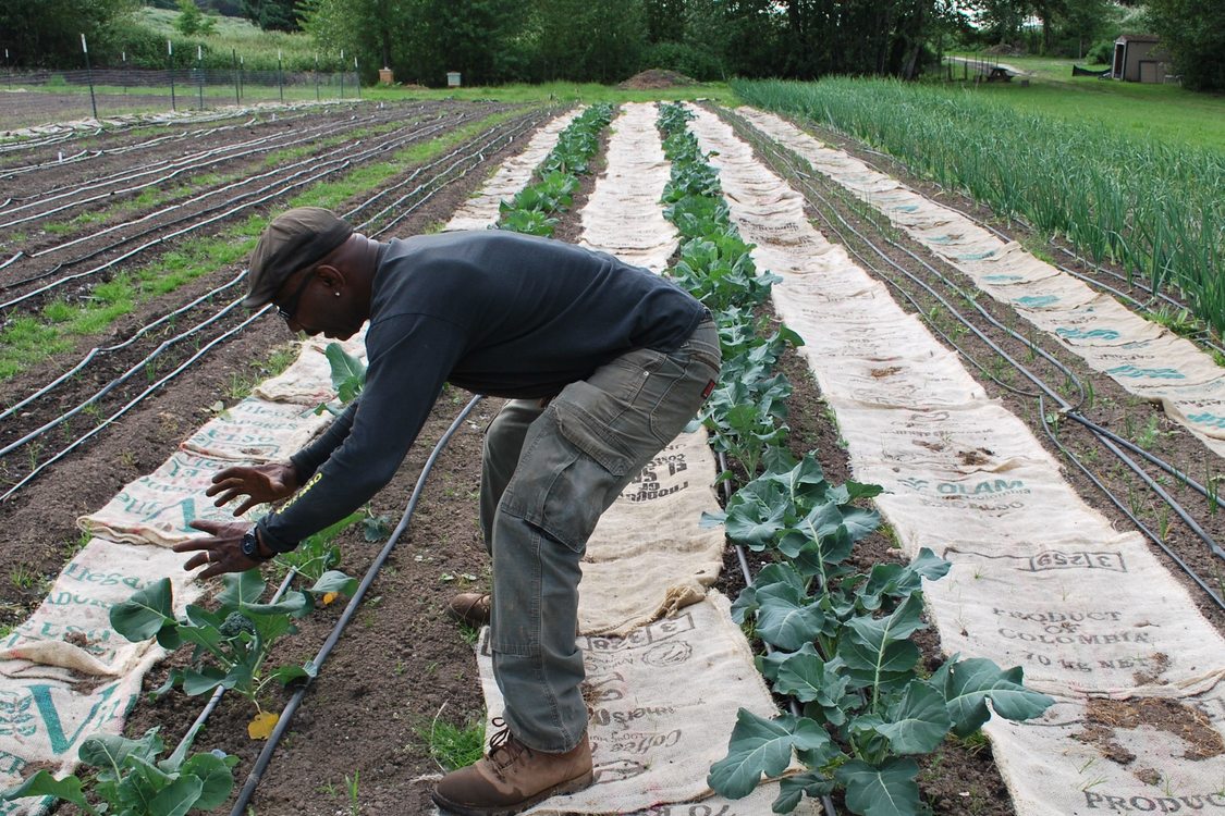 photo of Jerry working in the garden