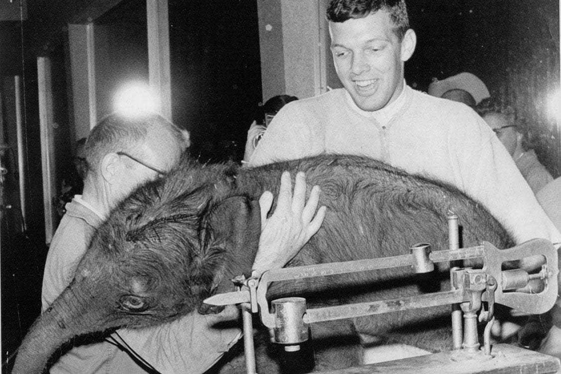 photo of baby Packy being weighed