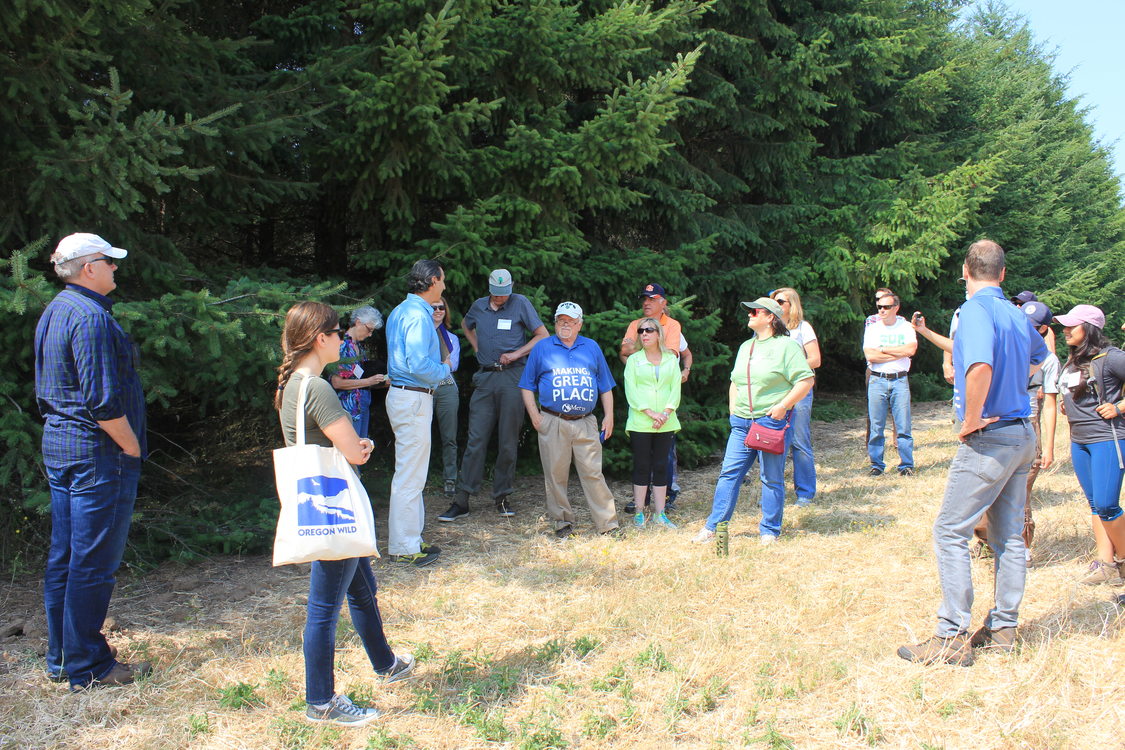 Taking in the view at Chehalem Ridge