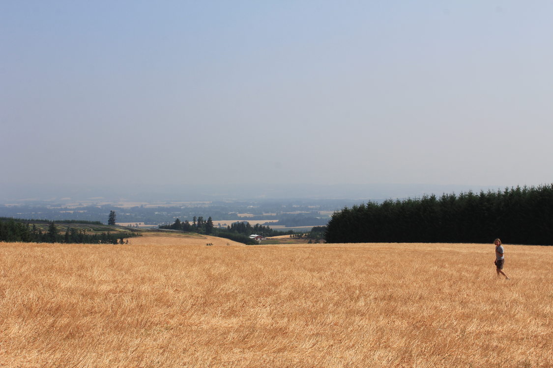 Hiking down to Wapato Lake viewpoint at Chehalem Ridge