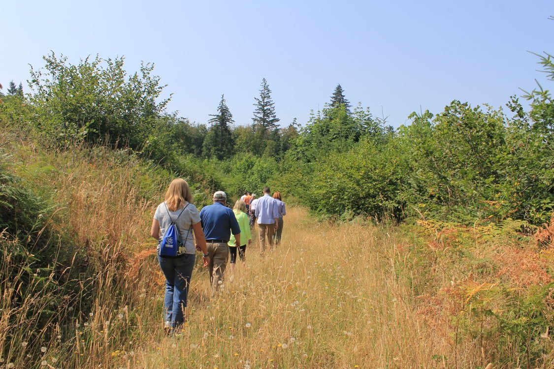 Walking to Wapato Lake viewpoint at Chehalem Ridge