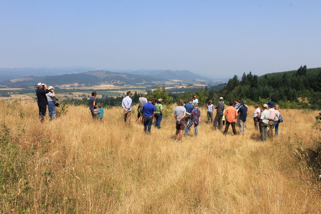 The view from Wapato Lake viewpoint at Chehalem Ridge