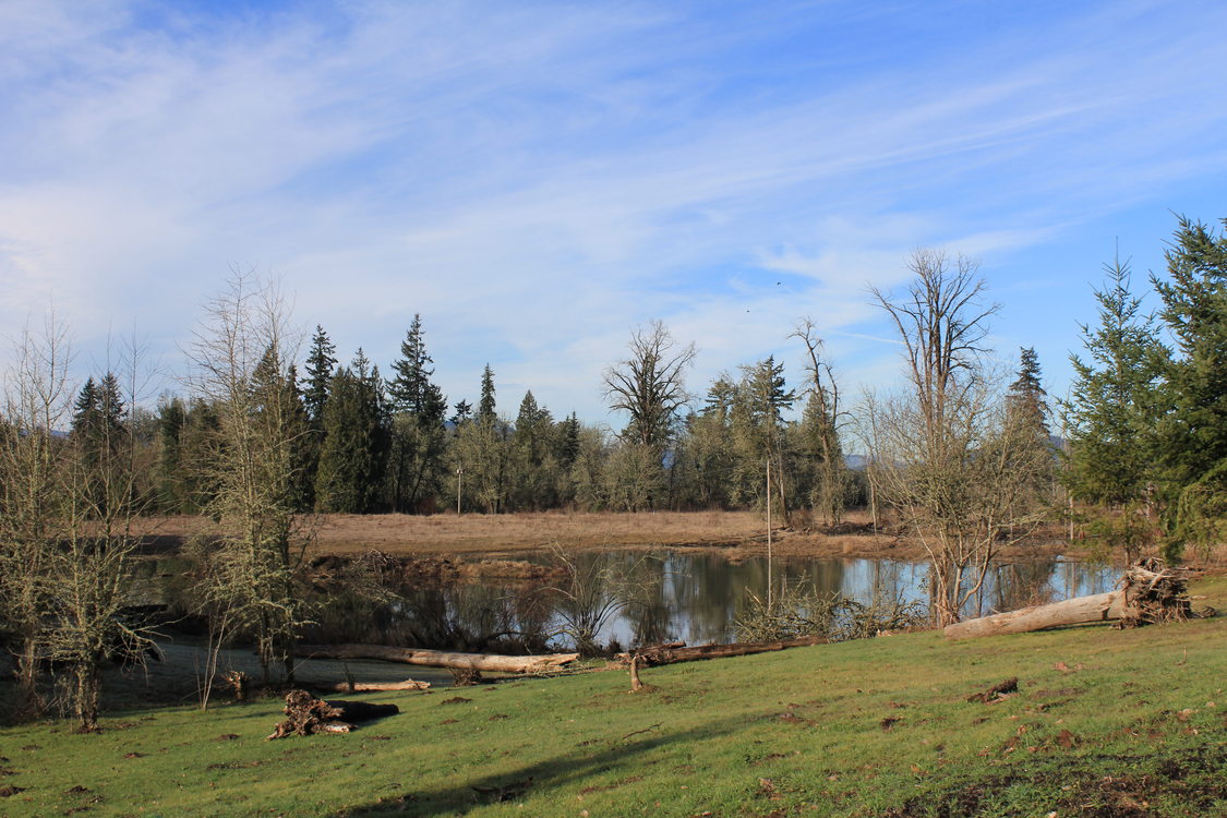 photo of Maroon Ponds after restoration work
