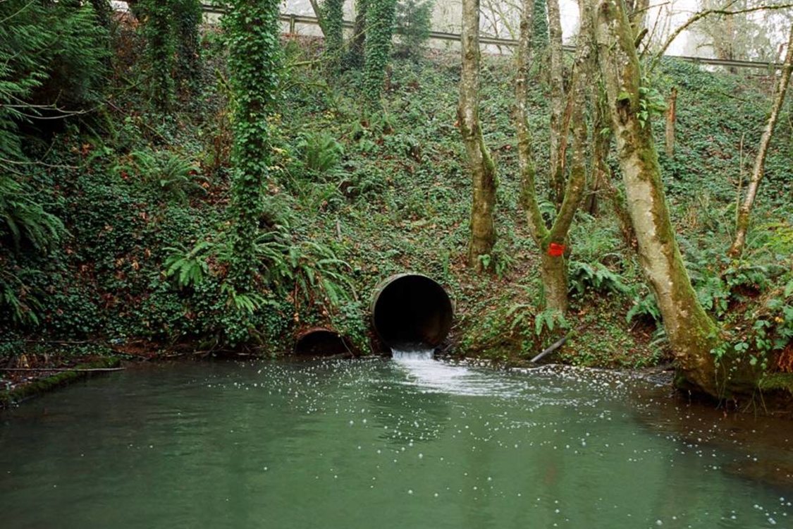 culvert draining water into a retention pond