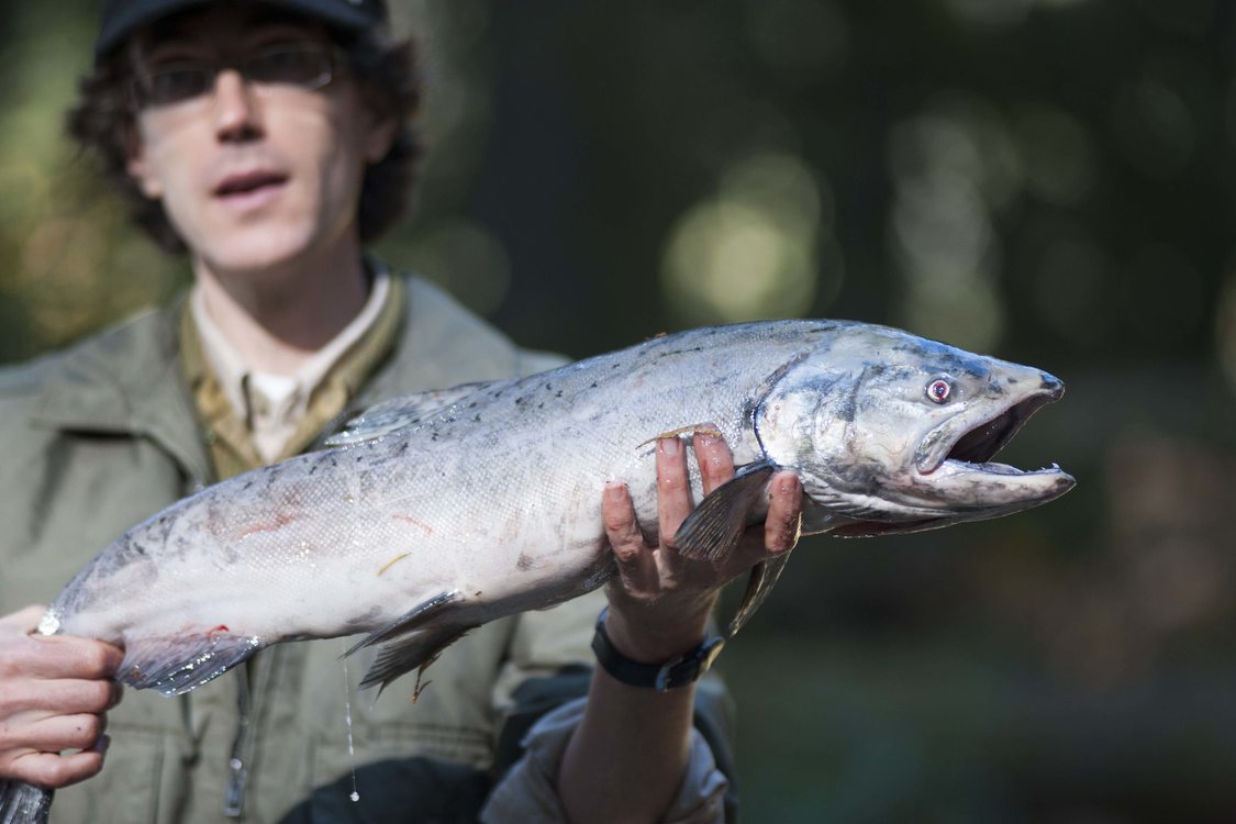 photo of naturalist Dan Daly holding a salmon