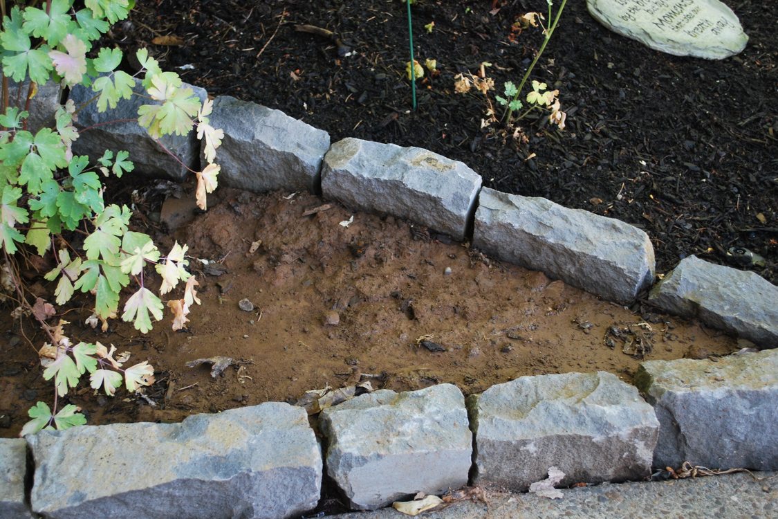 photo of mud bath in garden landscaping