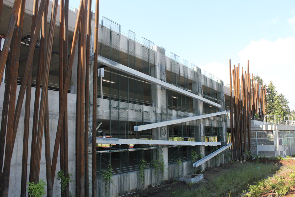 photo of stormwater green wall