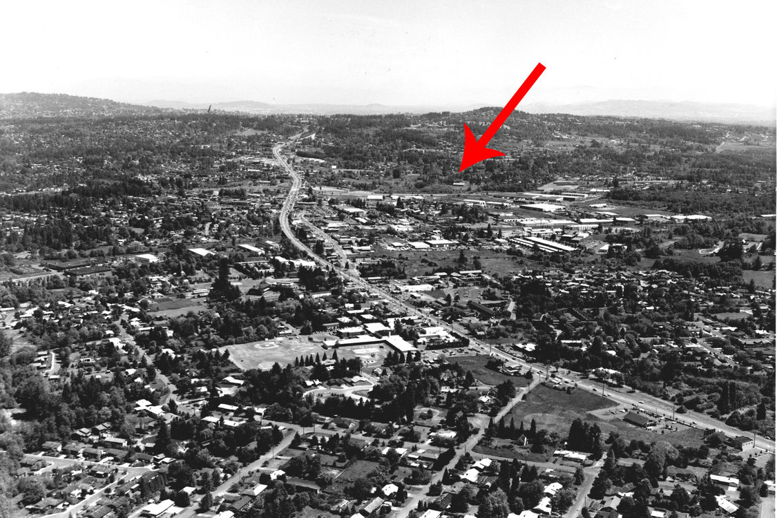 Tigard in 1983