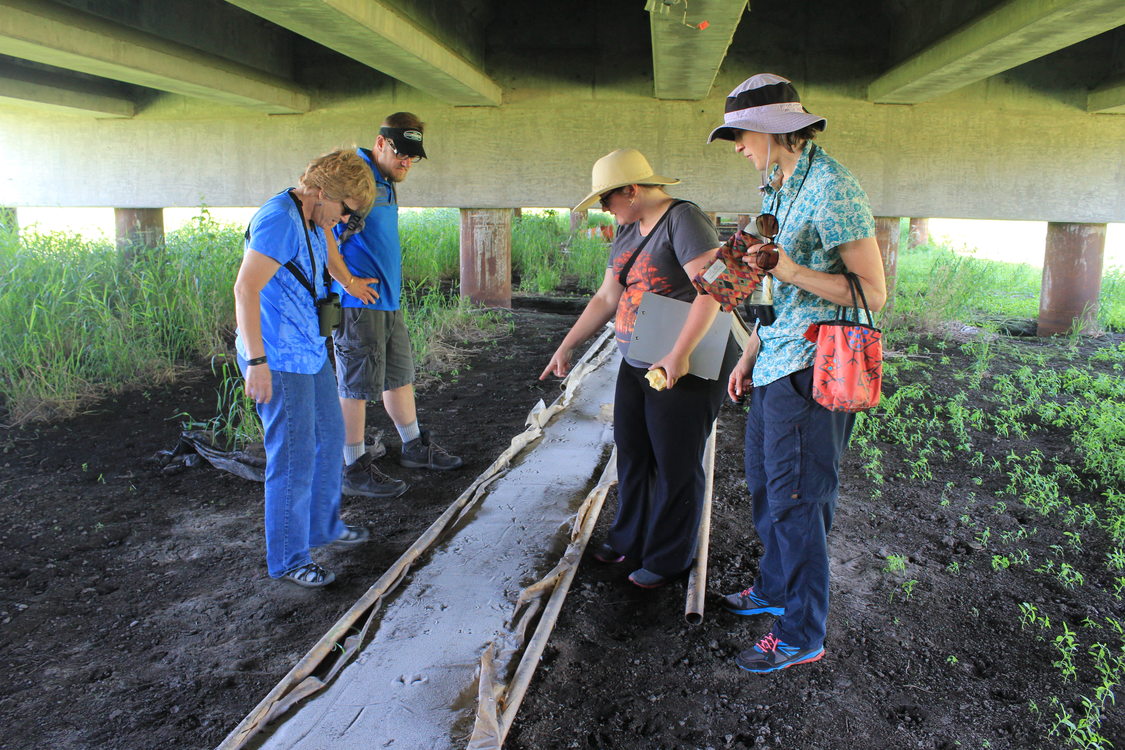 photo of Boeckman Road corridors project