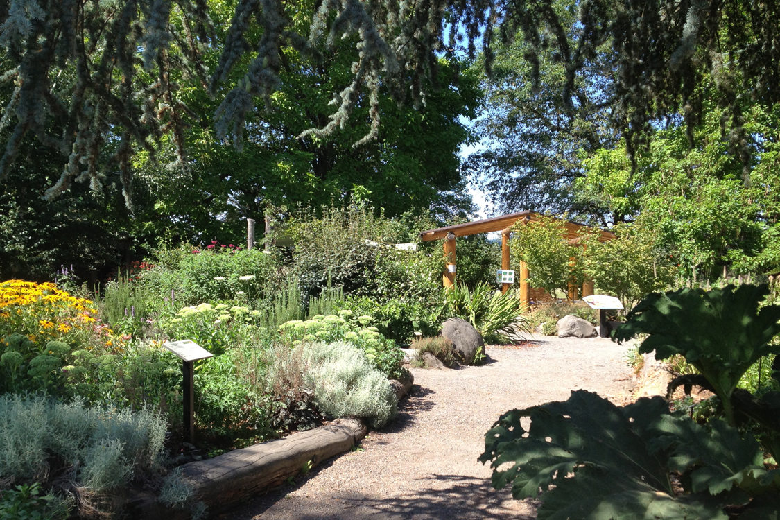 photo of the discovery garden at Blue Lake