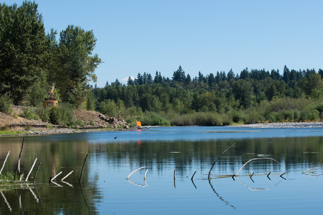 Clackamas River at River Island North