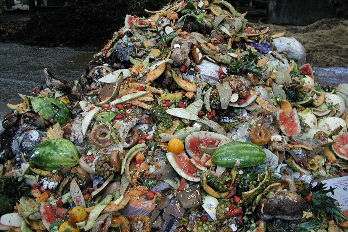 photo of a pile of food waste