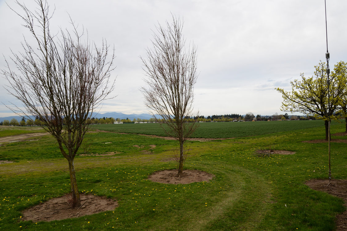 Gresham Vista Business Park in March 2015