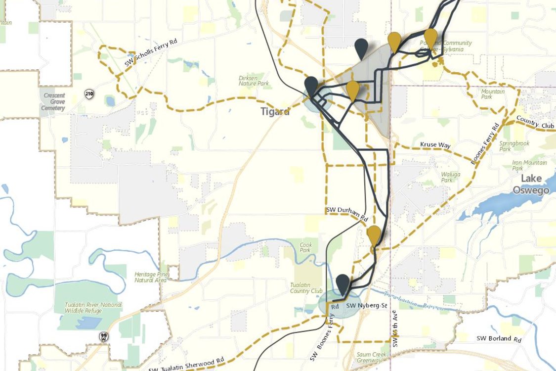 Screen capture of SW Corridor comment map