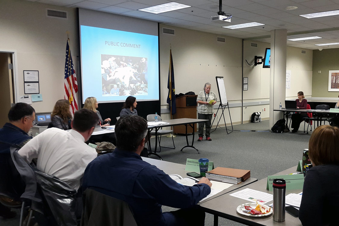 Lanna Hampton addresses the Powell-Division steering committee