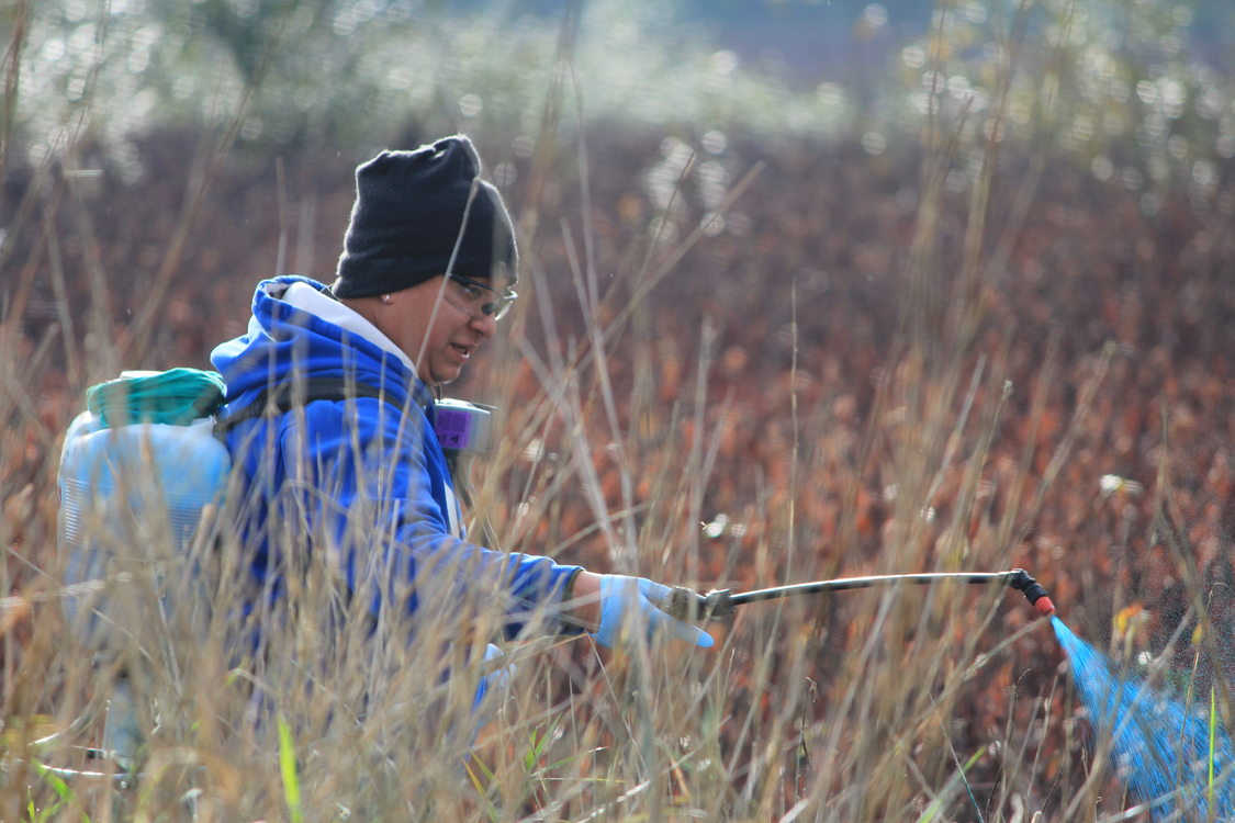 photo of Verde restoration crews at Smith and Bybee Wetlands Natural Area