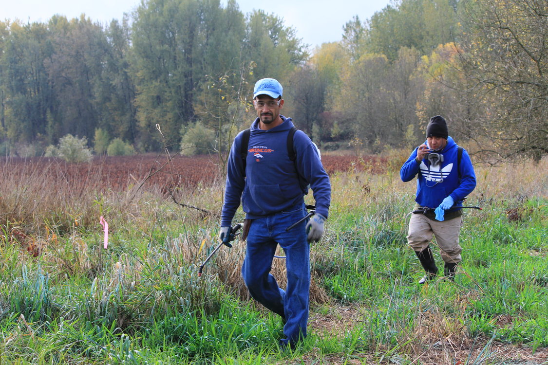 photo of Verde restoration crews at Smith and Bybee Wetlands Natural Area