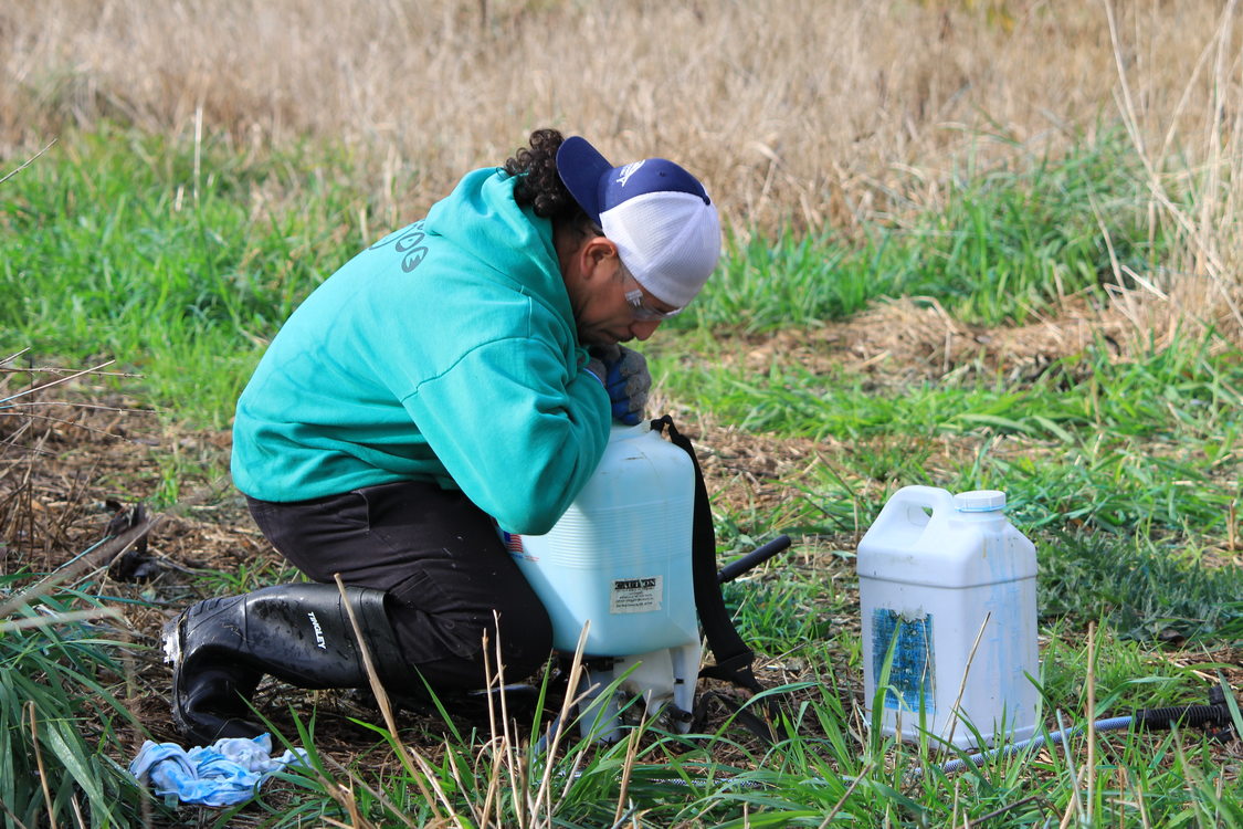 photo of Verde restoration crews at Smith and Bybee Wetlands Natural Area