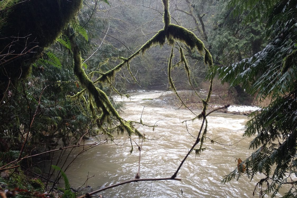 photo of North Fork of Deep Creek