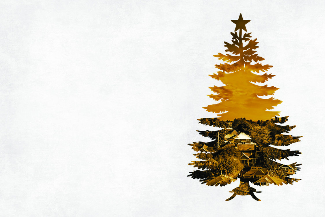 image of a Christmas tree