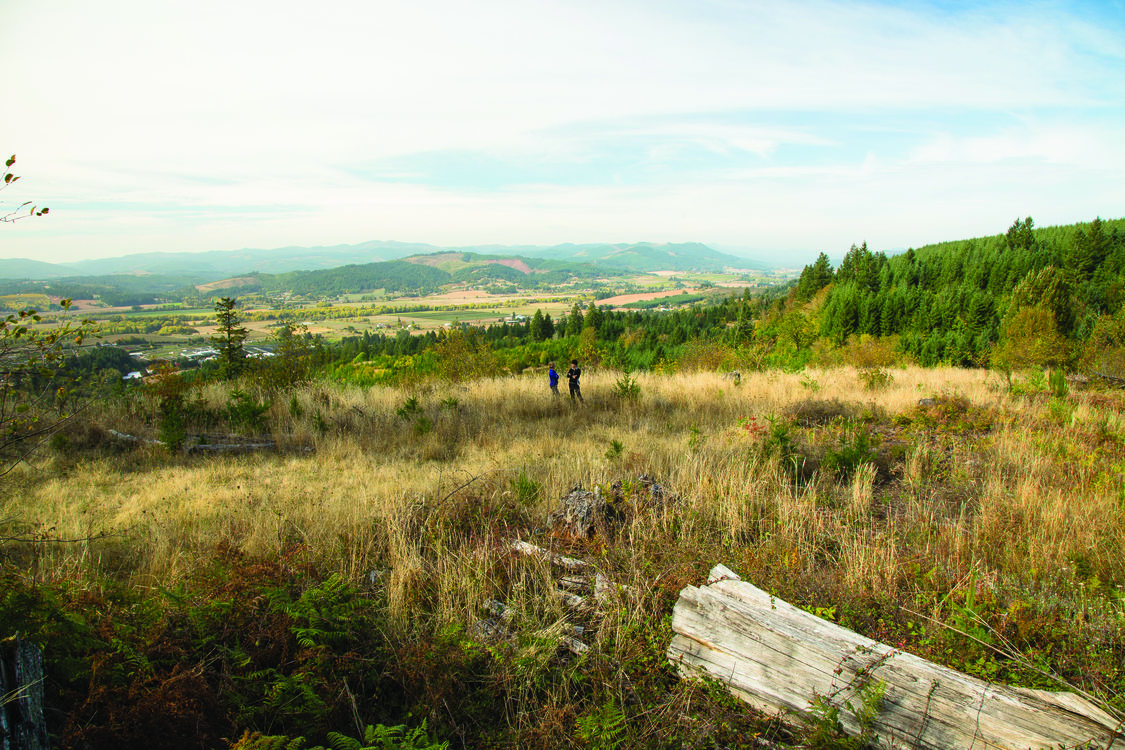 photo of Chehalem Ridge