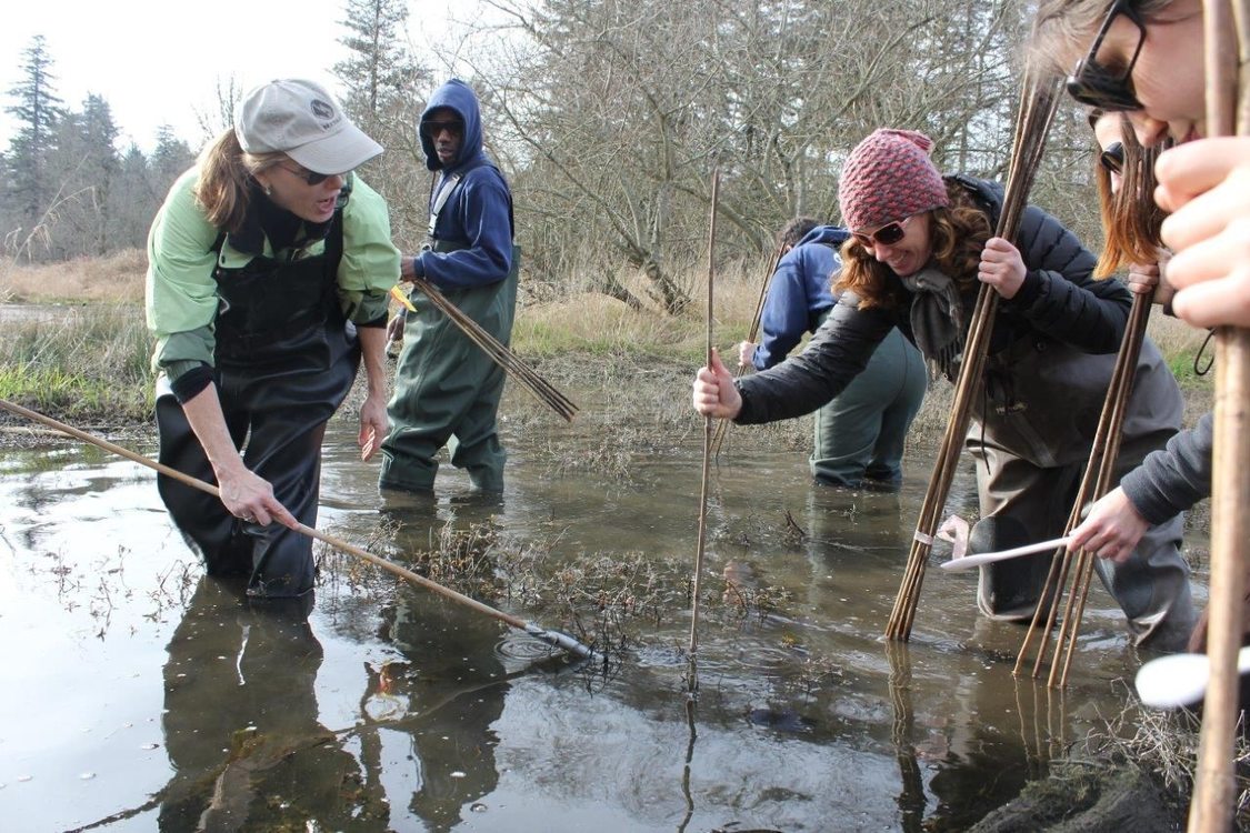 photo of amphibian egg mass monitor