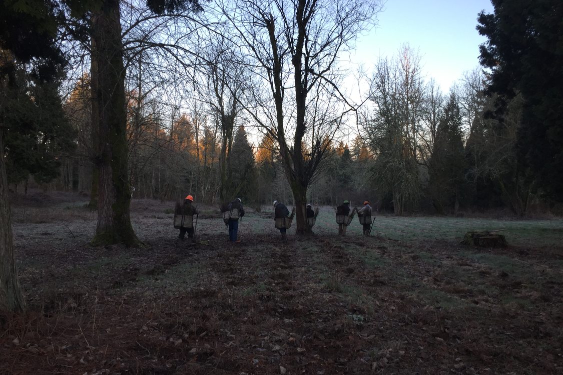 photo of planting at Johnson Creek