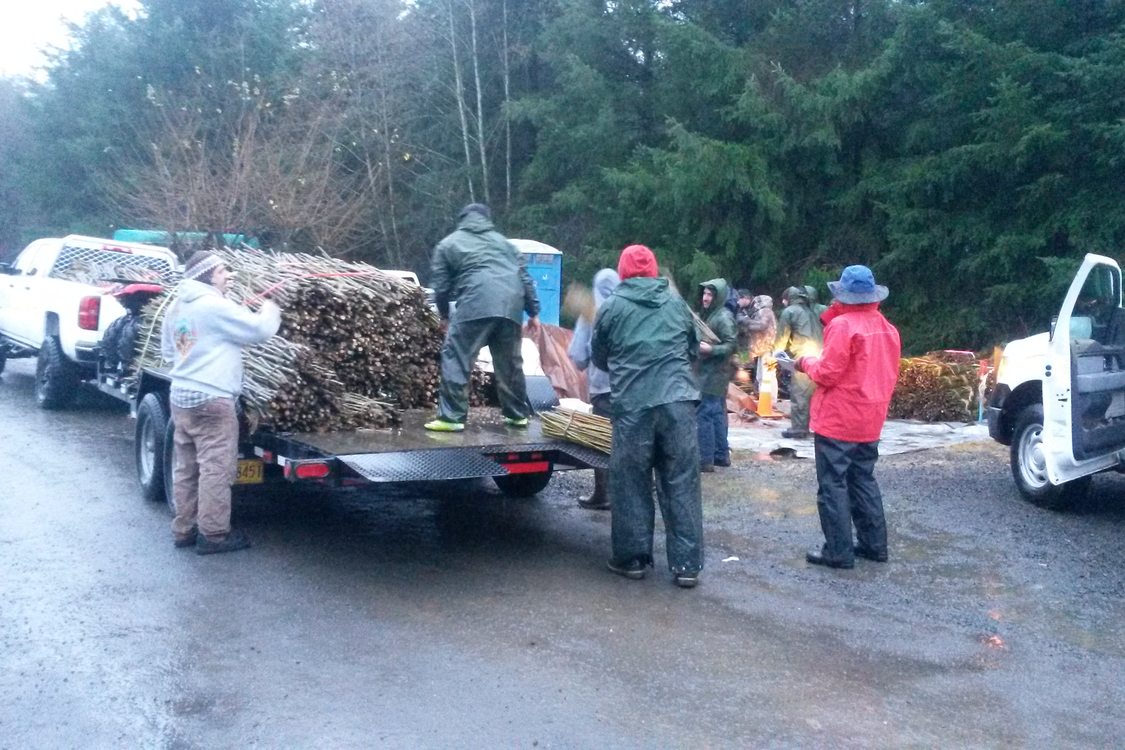 photo of planting at River Island