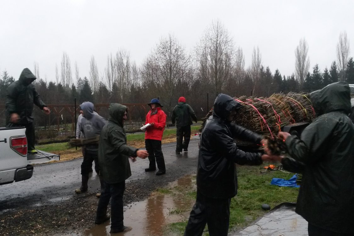 photo of River Island planting