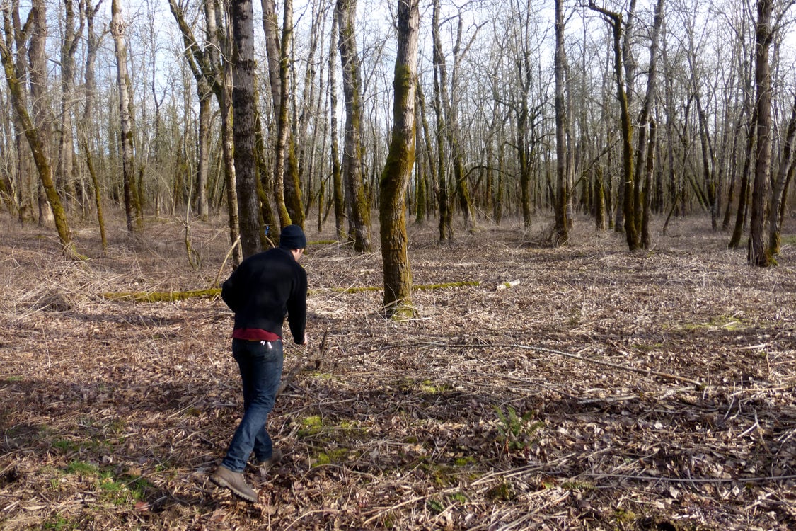 photo of man walking through a wooded area in the Sandy River Delta